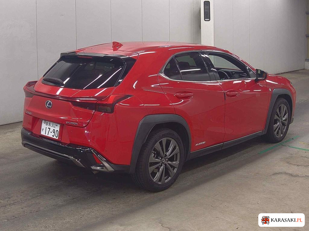 2018 Lexus Ux UX250H F Sport 4