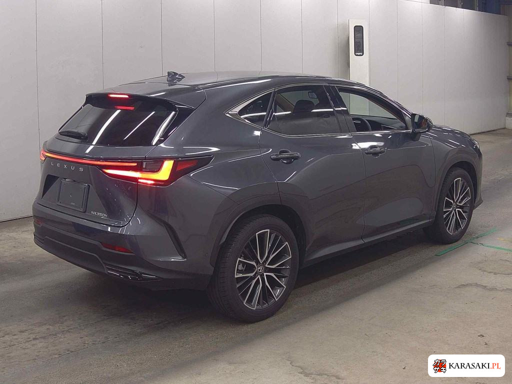2023 Lexus NX NX350H Version L 4