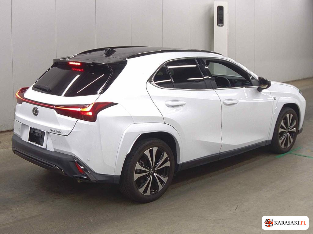 2023 Lexus Ux UX250H F Sport Emotional Explorer 4
