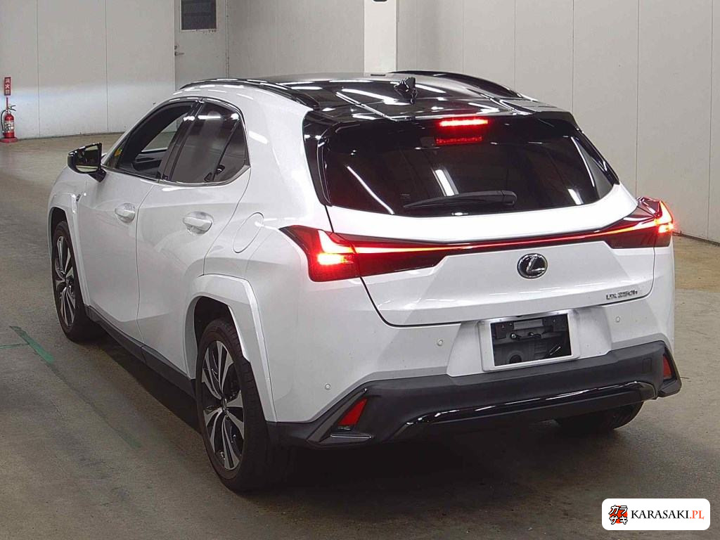 2023 Lexus Ux UX250H F Sport Emotional Explorer 2