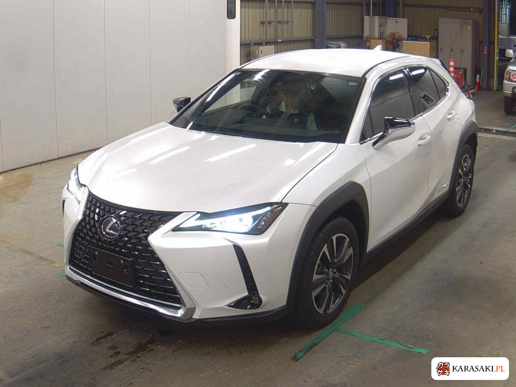 2021 Lexus UX300E Version C 3