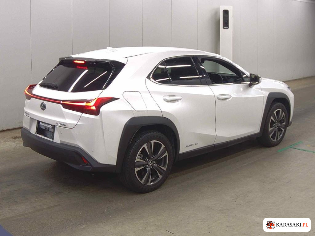 2021 Lexus UX300E Version C 4