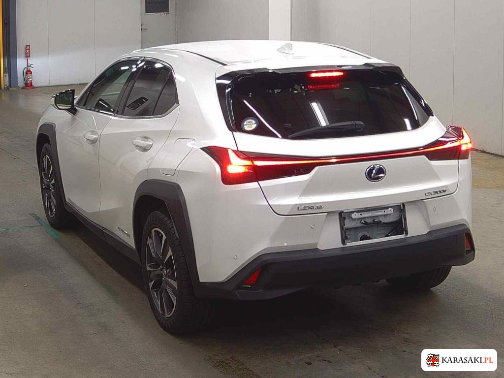 2021 Lexus UX300E Version C 2