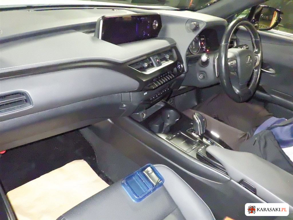 2021 Lexus UX300E Version C 5