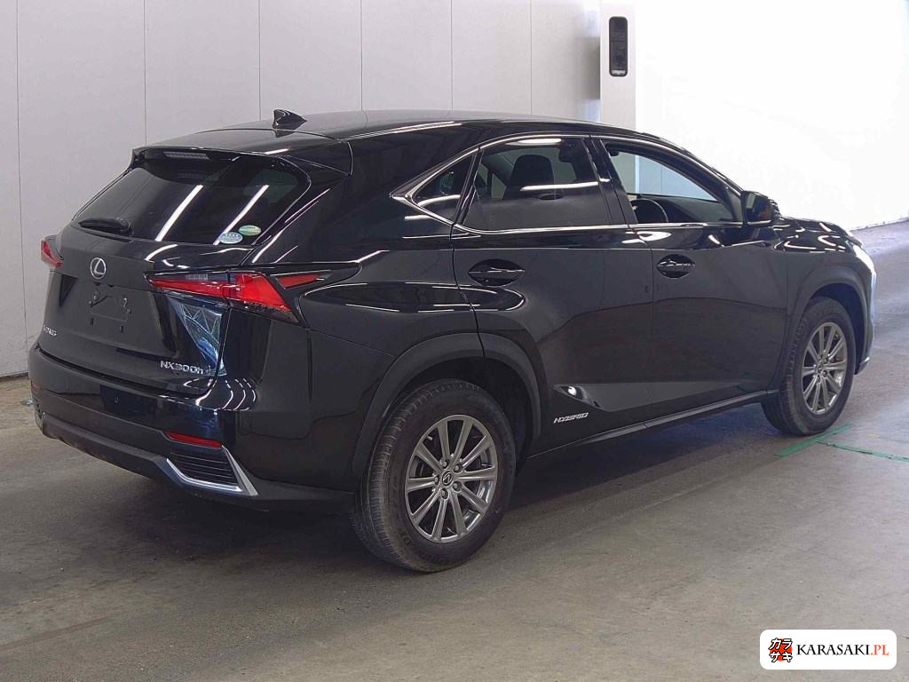 2019 Lexus NX 4WD NX300H I Package 4