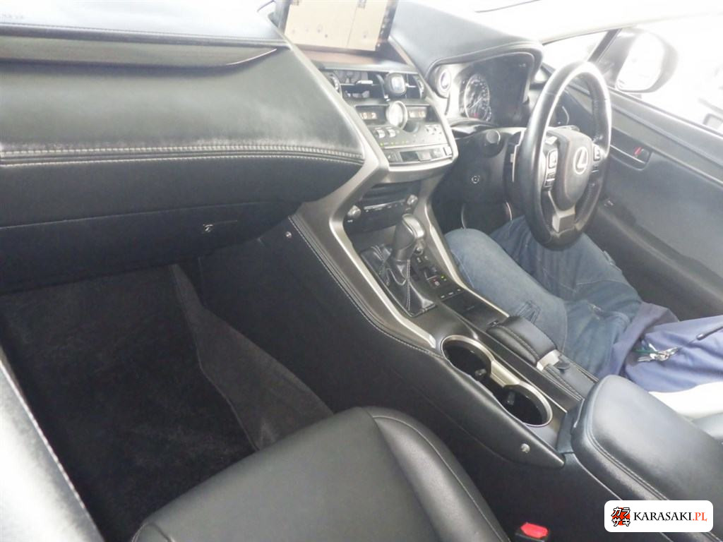 2019 Lexus NX 4WD NX300H I Package 5