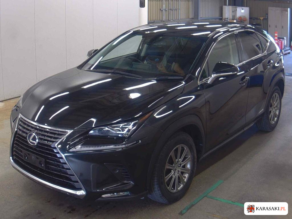 2019 Lexus NX 4WD NX300H I Package 3