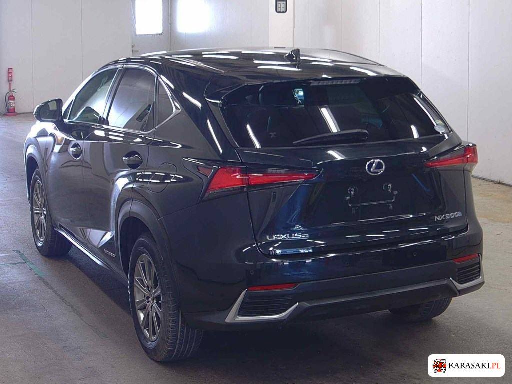 2019 Lexus NX 4WD NX300H I Package 2