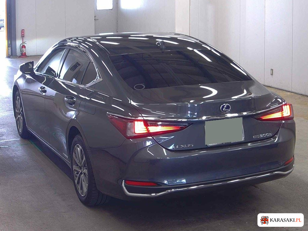 2022 Lexus Es ES300H 2