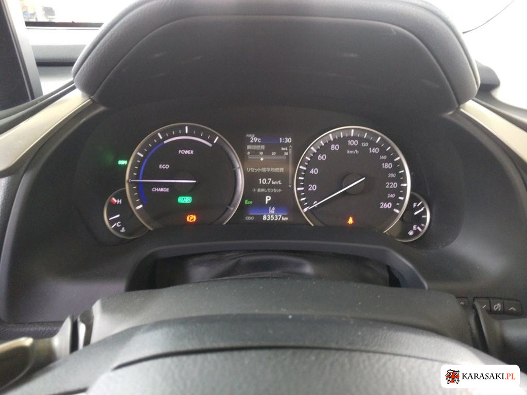 2022 Lexus RX 4WD RX450HL 6