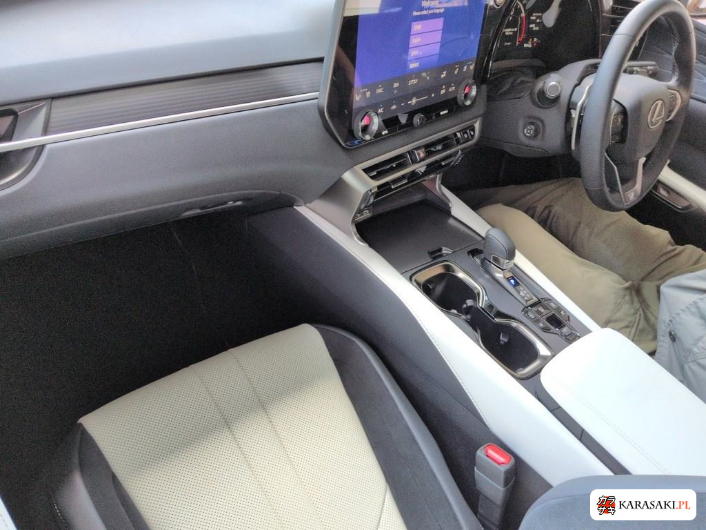 2025 Lexus RX 4WD F Sport 5