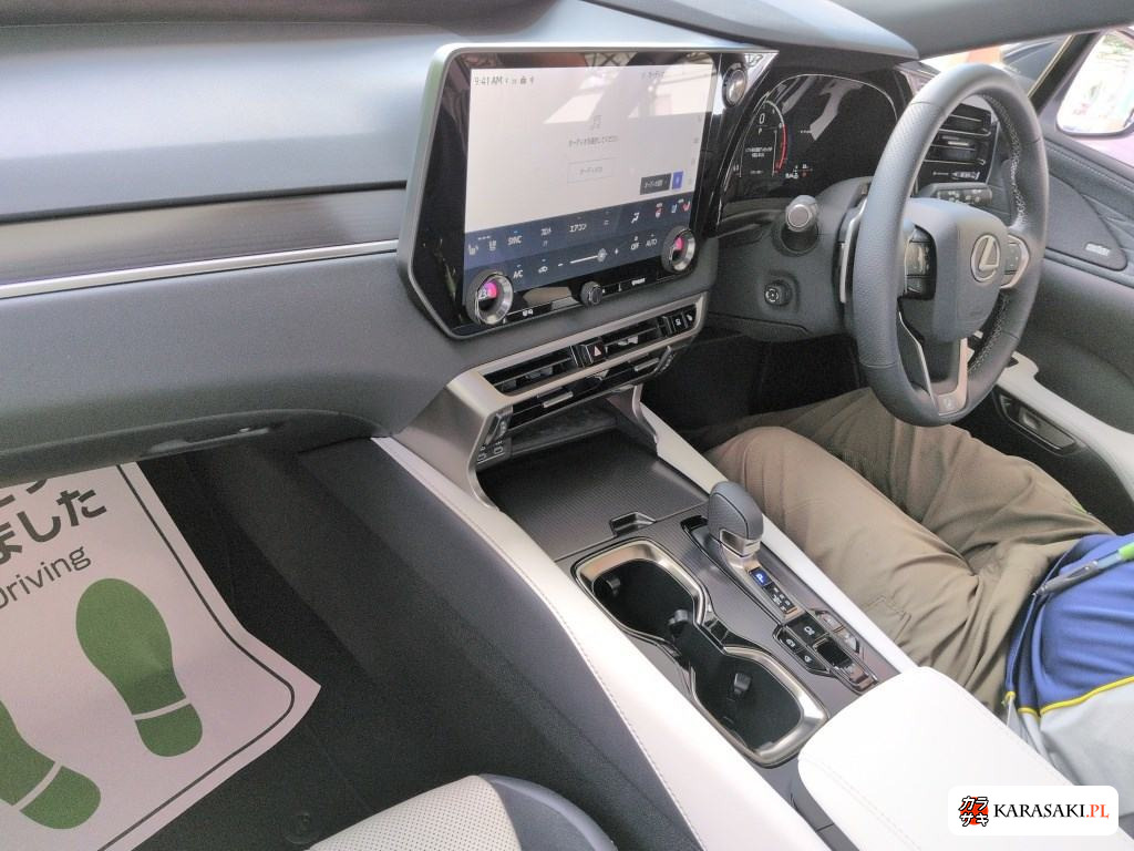 2025 Lexus RX 4WD F Sport 5