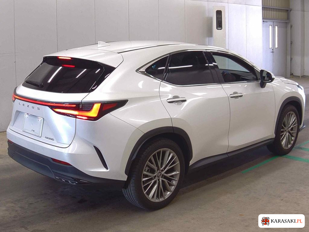 2023 Lexus NX NX250 Version L 4