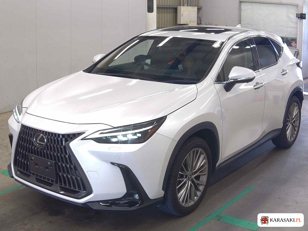 2023 Lexus NX NX250 Version L 3