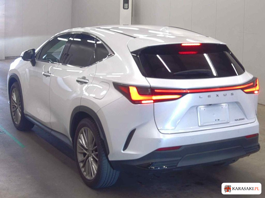 2023 Lexus NX NX250 Version L 2