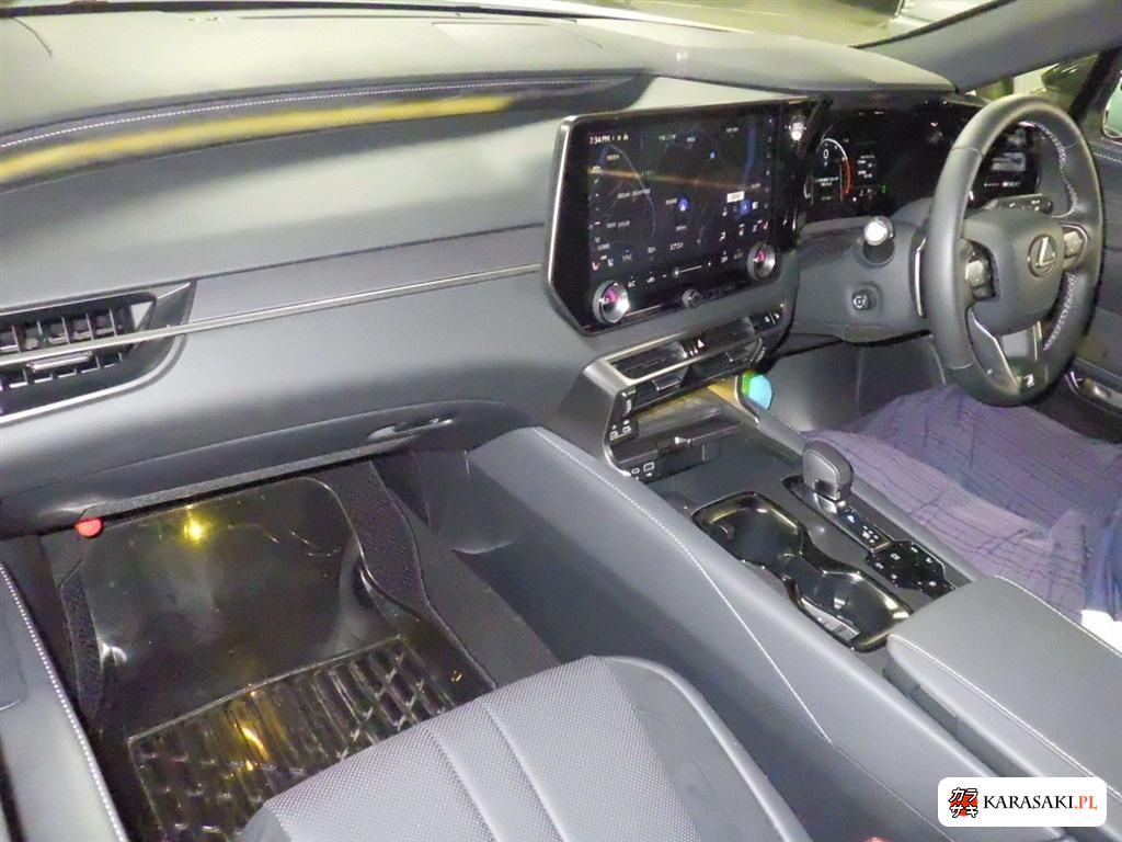 2025 Lexus RX 4WD F Sport 5