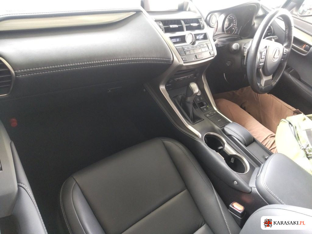2016 Lexus NX NX200T I Package 5