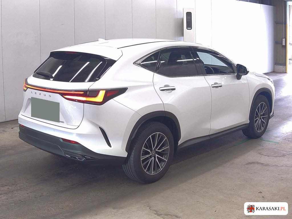 2023 Lexus NX NX250 4