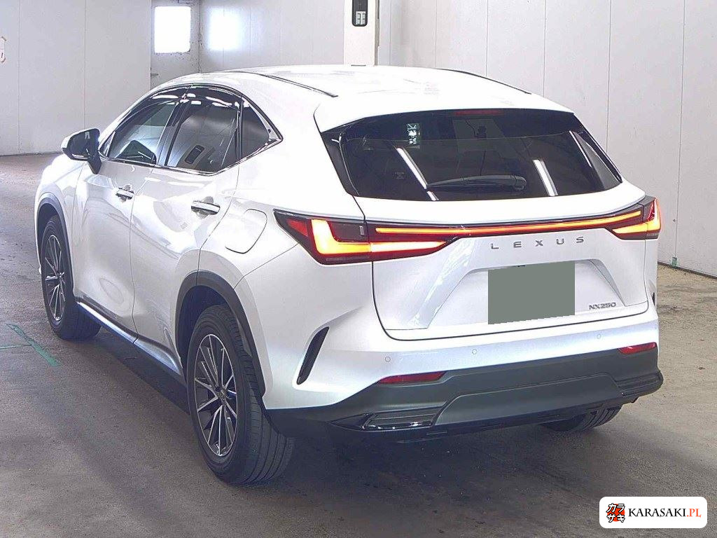 2023 Lexus NX NX250 2