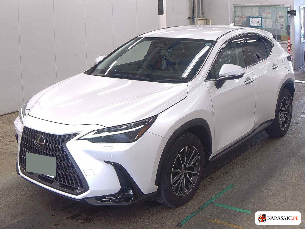 2023 Lexus NX NX250 3