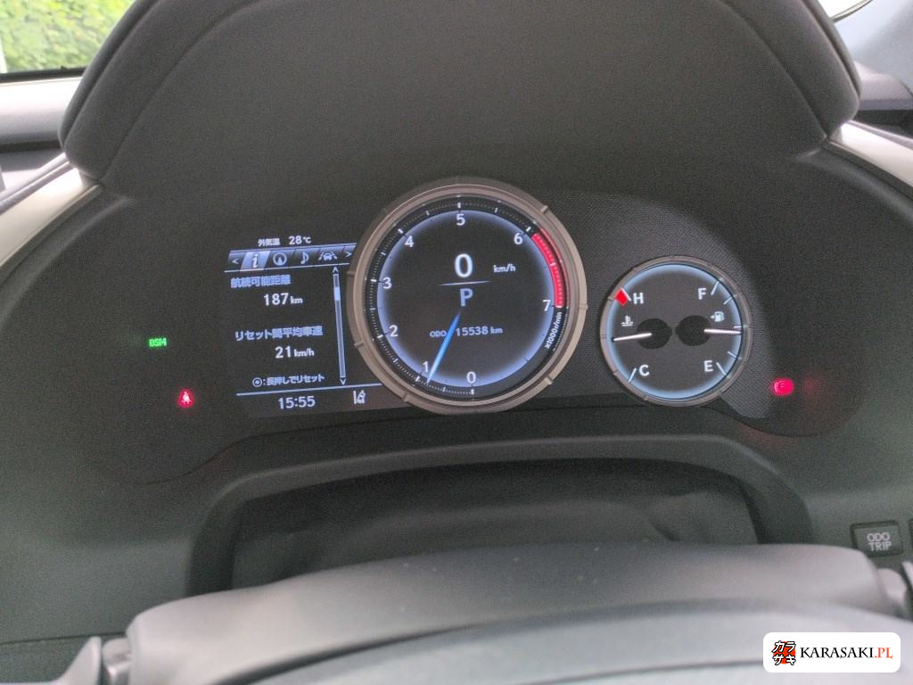2021 Lexus RX RX300 F Sport 6