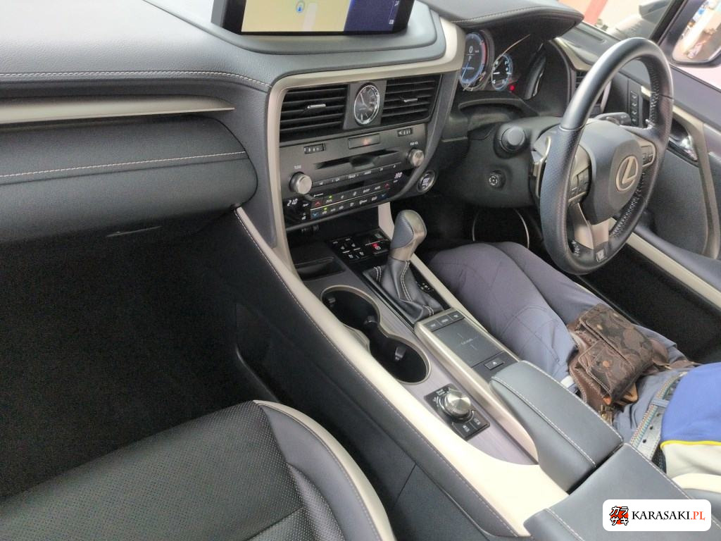 2021 Lexus RX RX300 F Sport 5