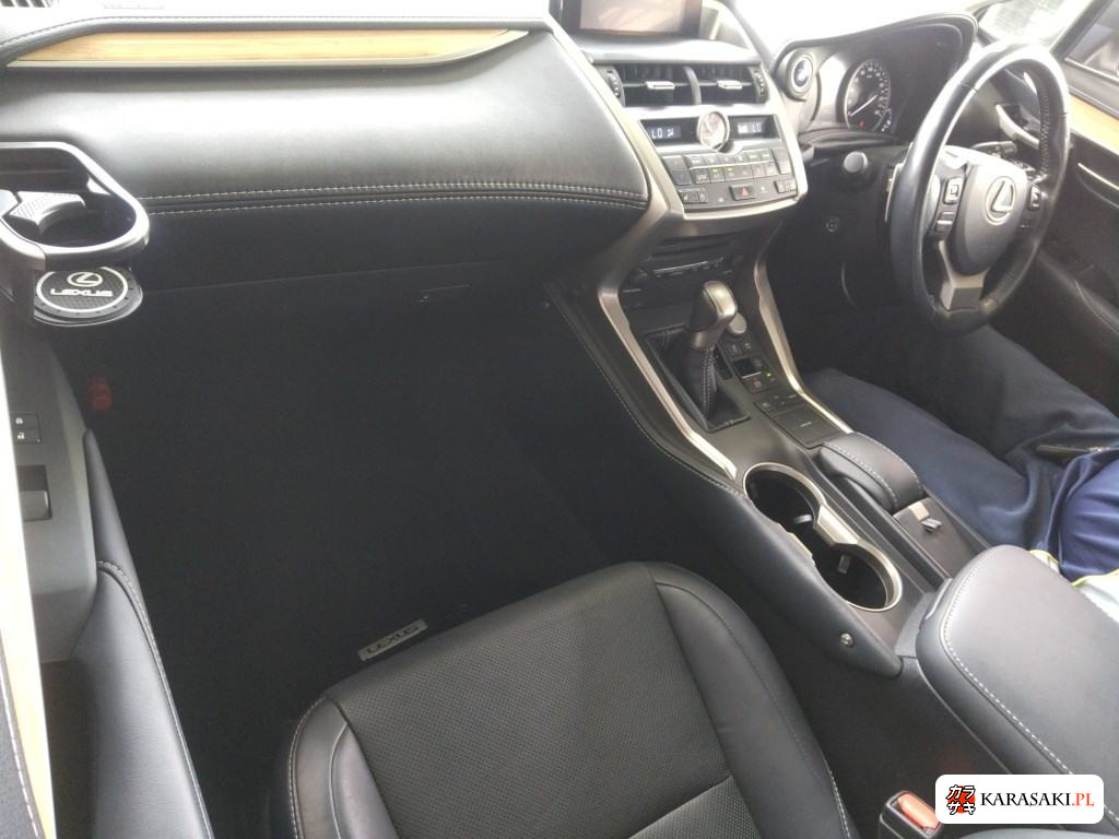 2016 Lexus NX NX300H Version L 5