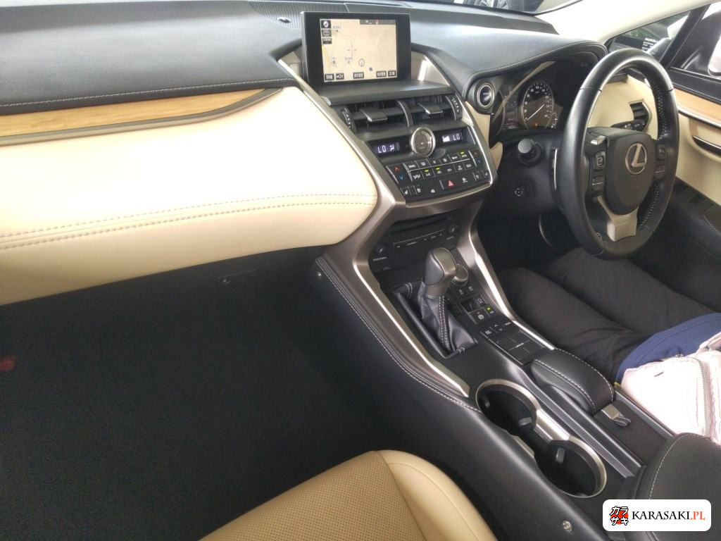 2017 Lexus NX 4WD NX300H Version L 5