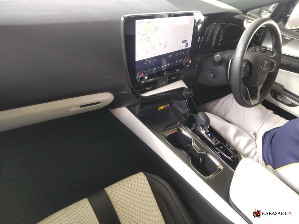 2025 Lexus NX 4WD NX350H F Sport 5