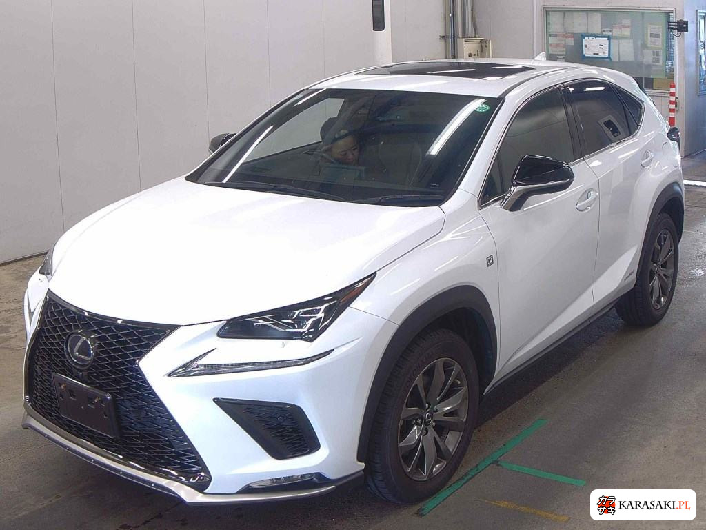 2019 Lexus NX NX300H F Sport 3