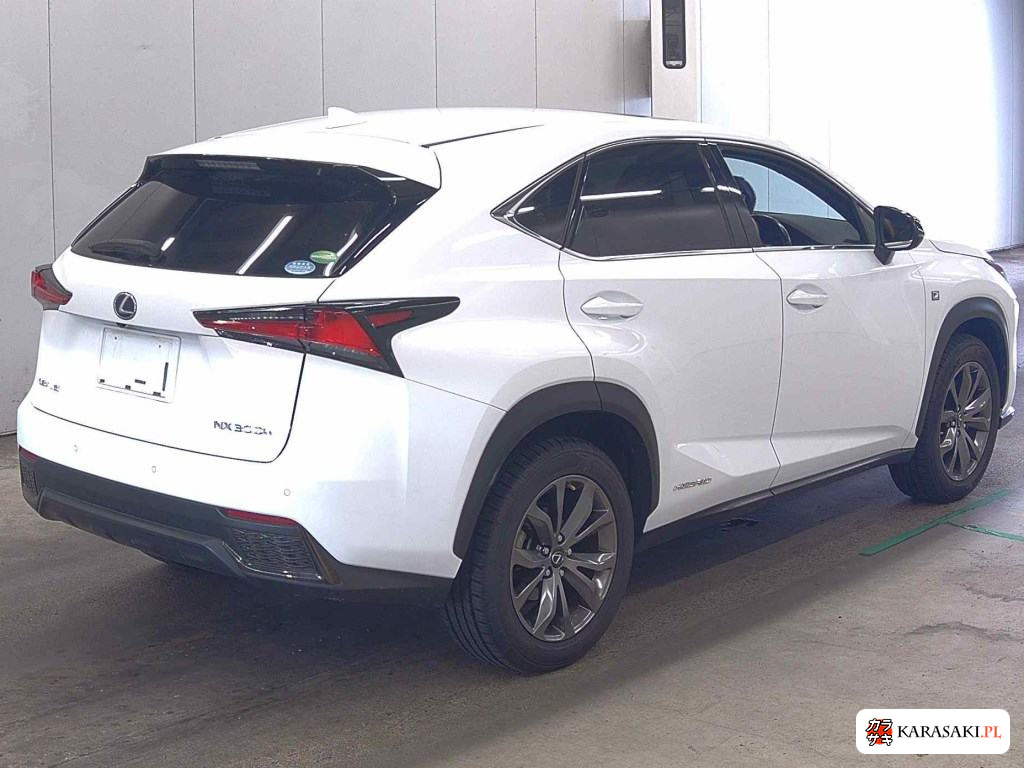 2019 Lexus NX NX300H F Sport 4