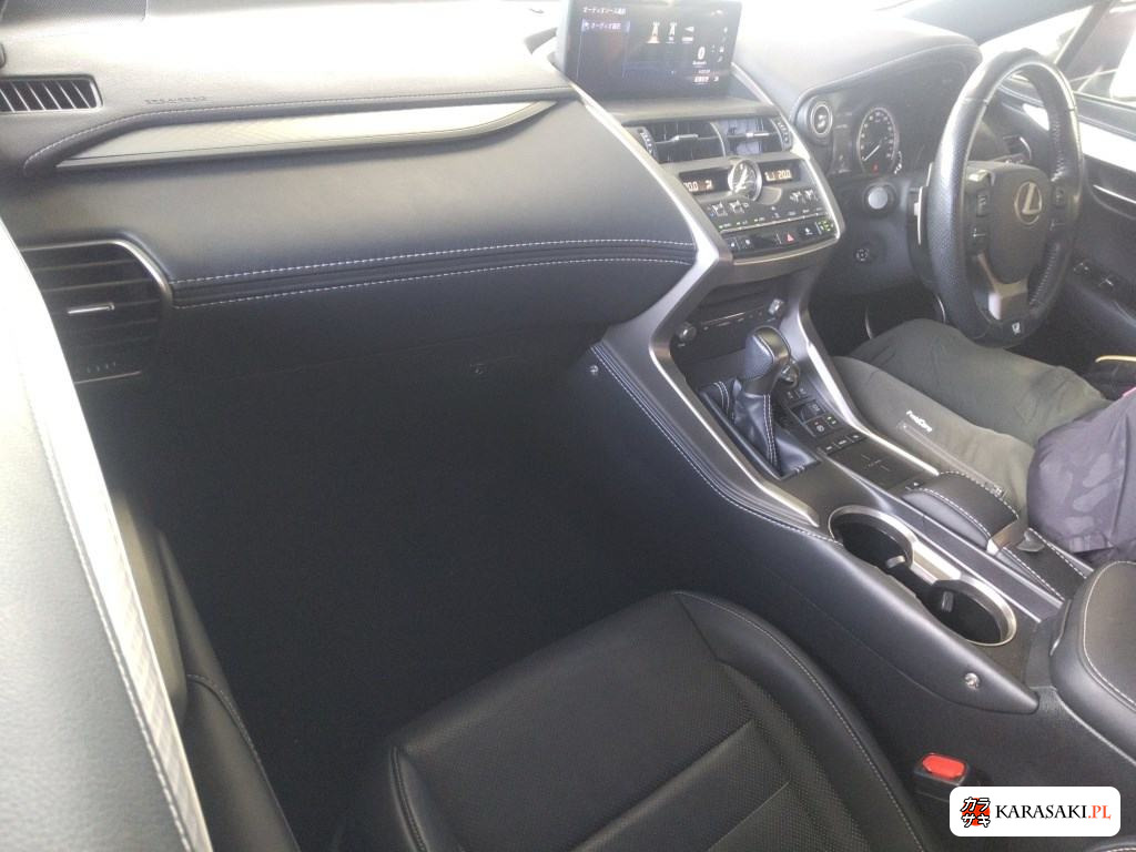 2019 Lexus NX NX300H F Sport 5