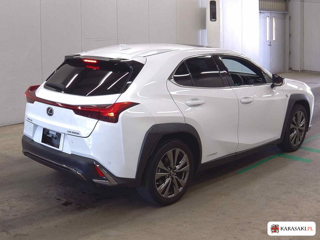 2019 Lexus Ux 4WD UX250H F Sport 4
