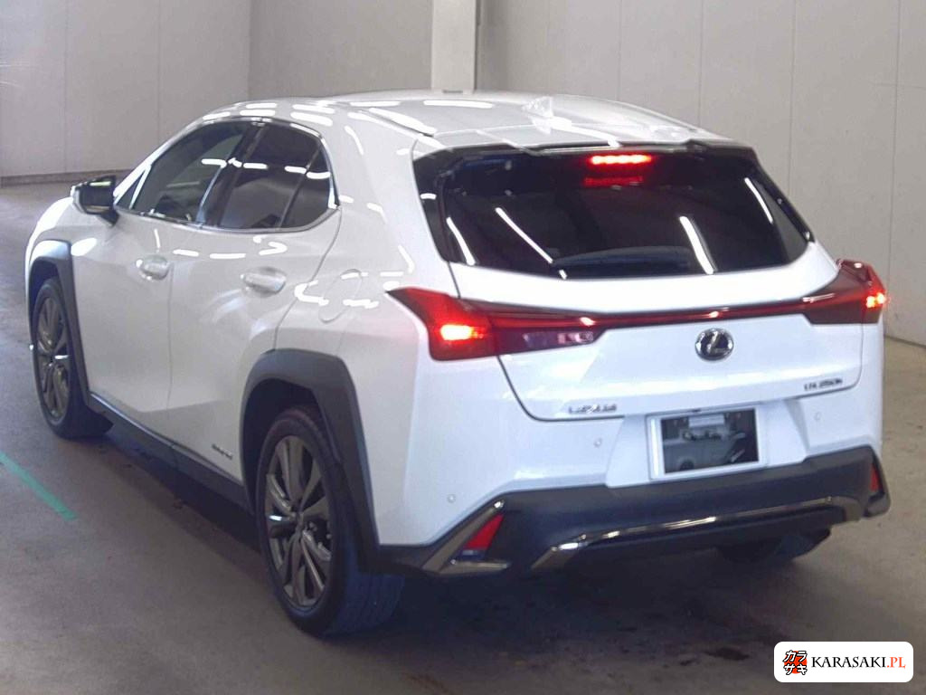 2019 Lexus Ux 4WD UX250H F Sport 2