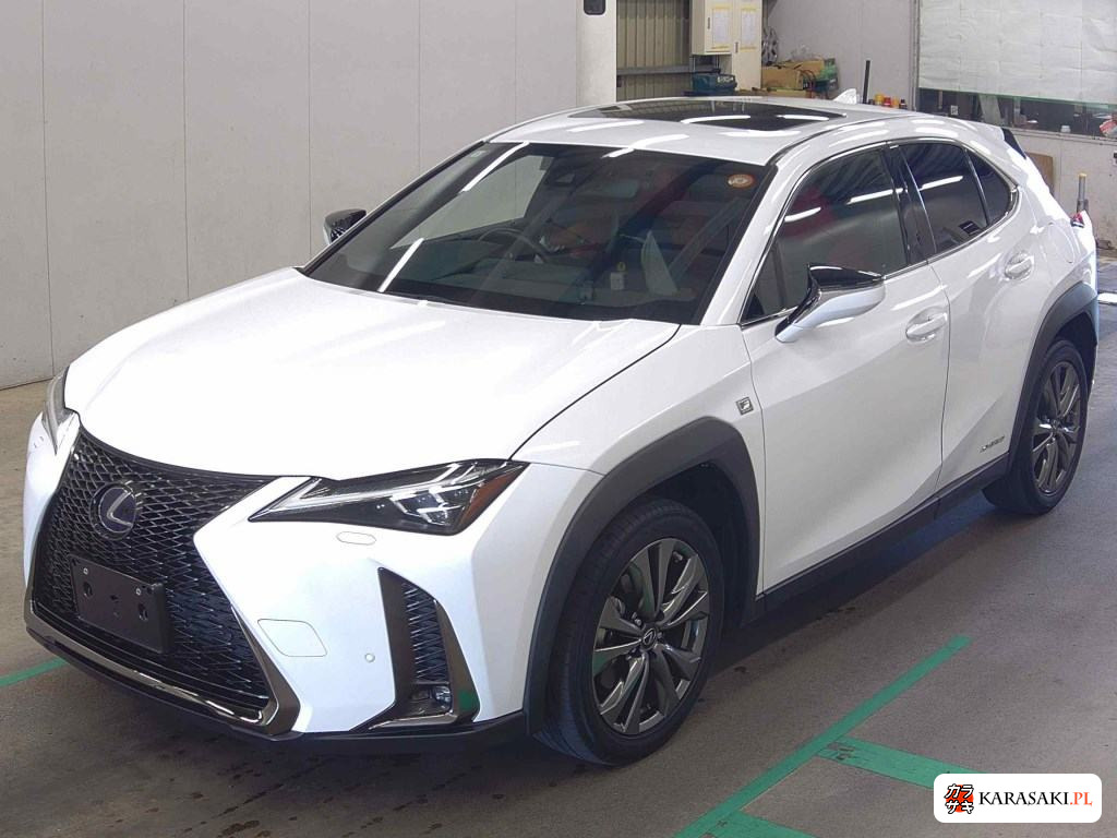 2019 Lexus Ux 4WD UX250H F Sport 3