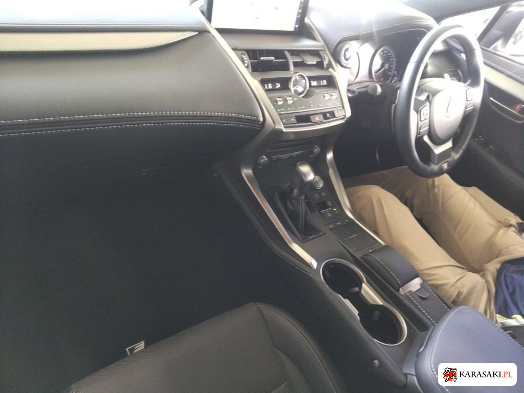 2019 Lexus NX NX300H F Sport 5