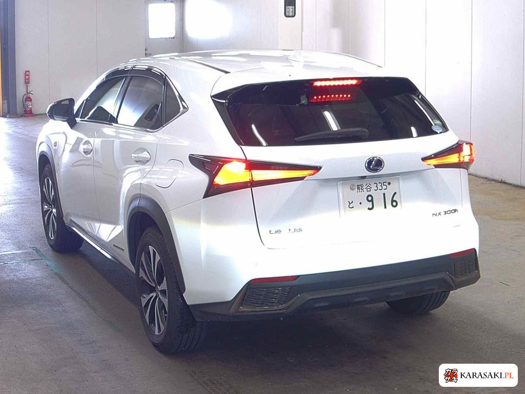 2019 Lexus NX NX300H F Sport 2