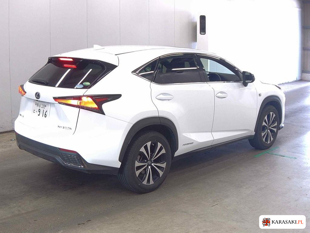 2019 Lexus NX NX300H F Sport 4
