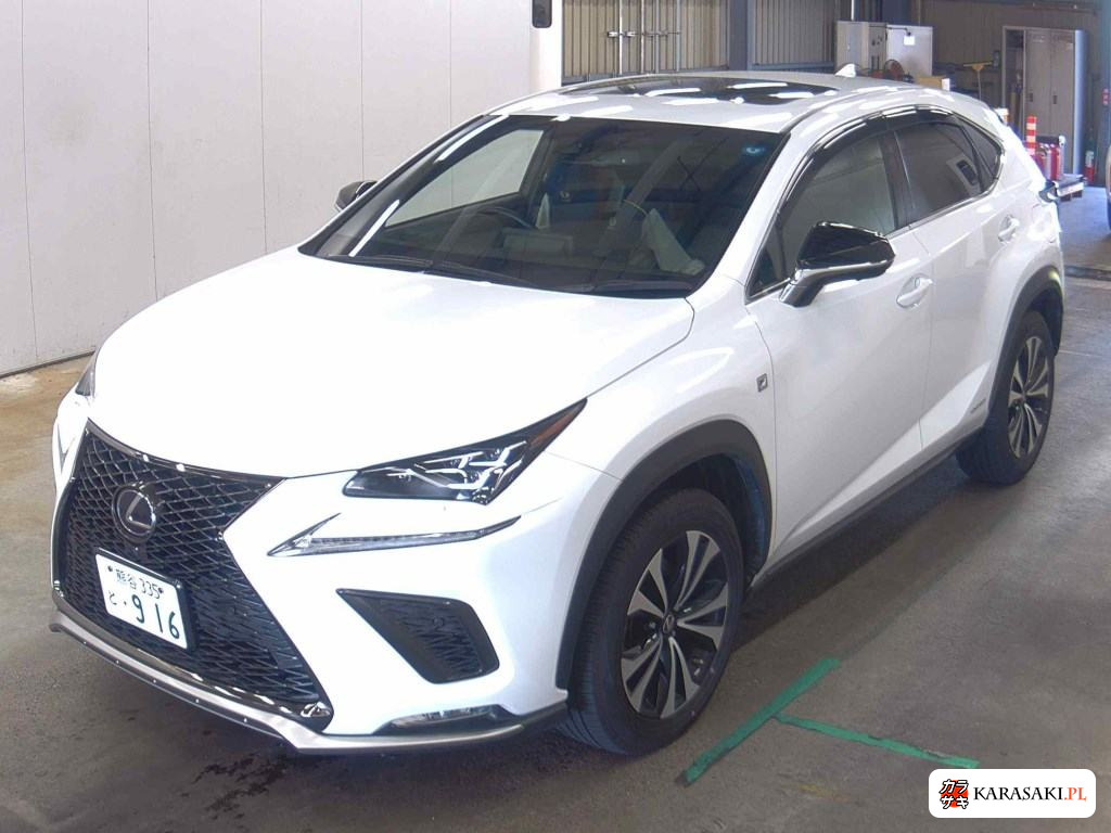 2019 Lexus NX NX300H F Sport 3