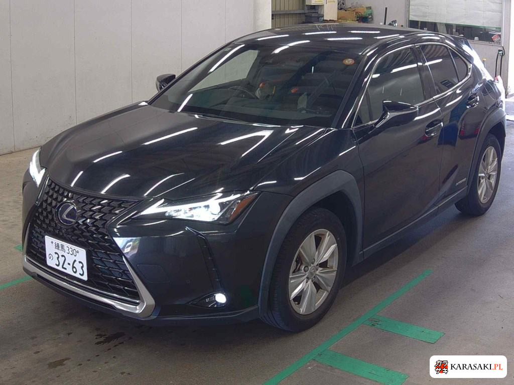 2020 Lexus Ux UX250H Version C 3