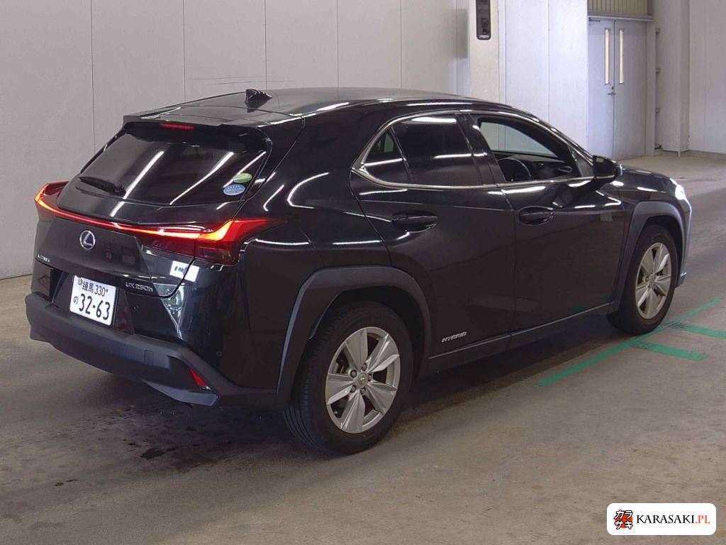 2020 Lexus Ux UX250H Version C 4