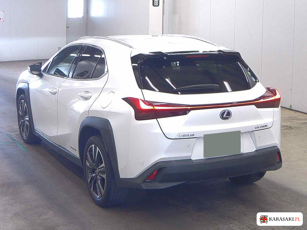 2019 Lexus Ux UX250H Version C 2