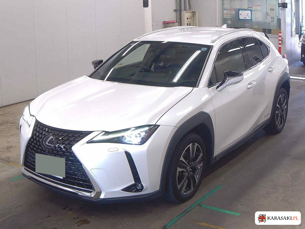 2019 Lexus Ux UX250H Version C 3