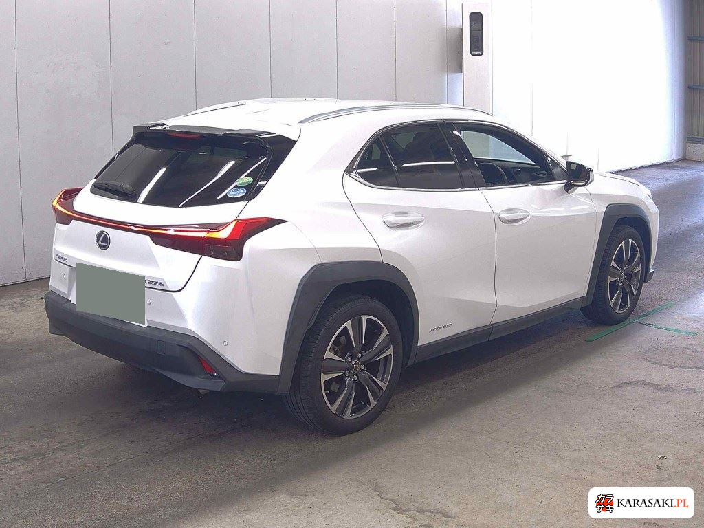 2019 Lexus Ux UX250H Version C 4