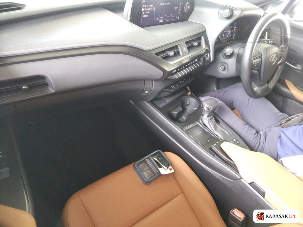 2019 Lexus Ux UX250H Version C 5