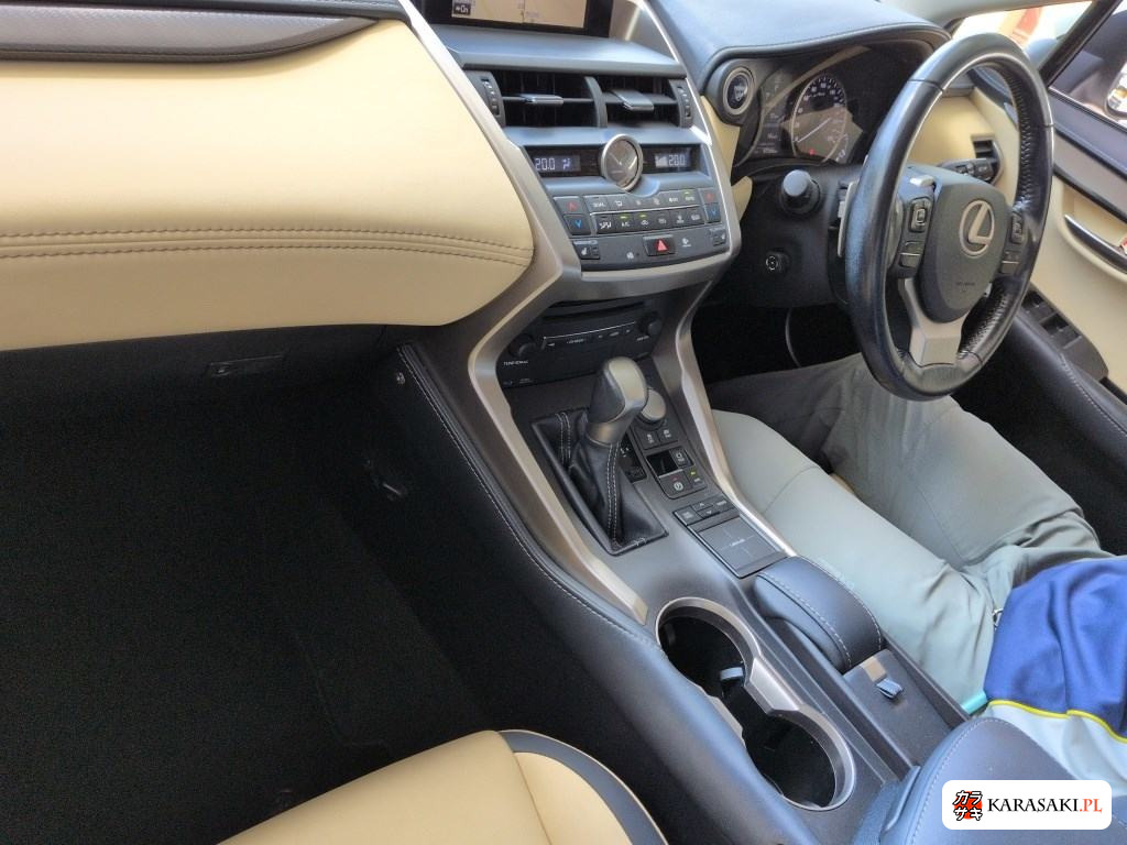 2015 Lexus NX NX300H I Package 5