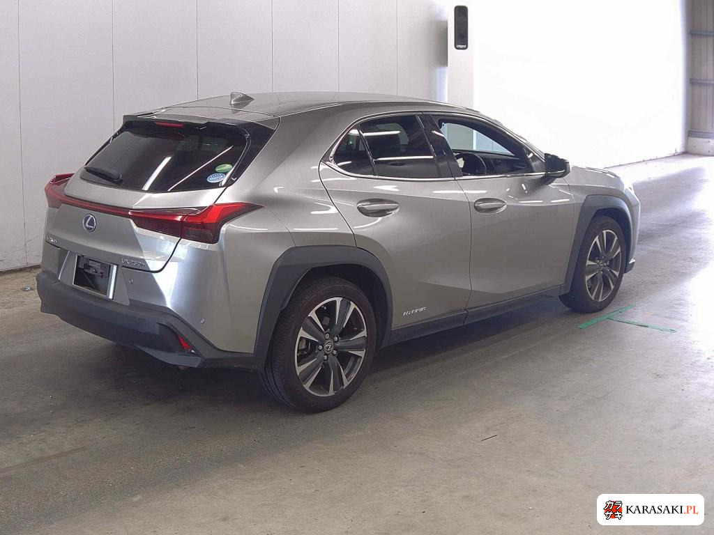 2019 Lexus Ux UX250H Version C 4
