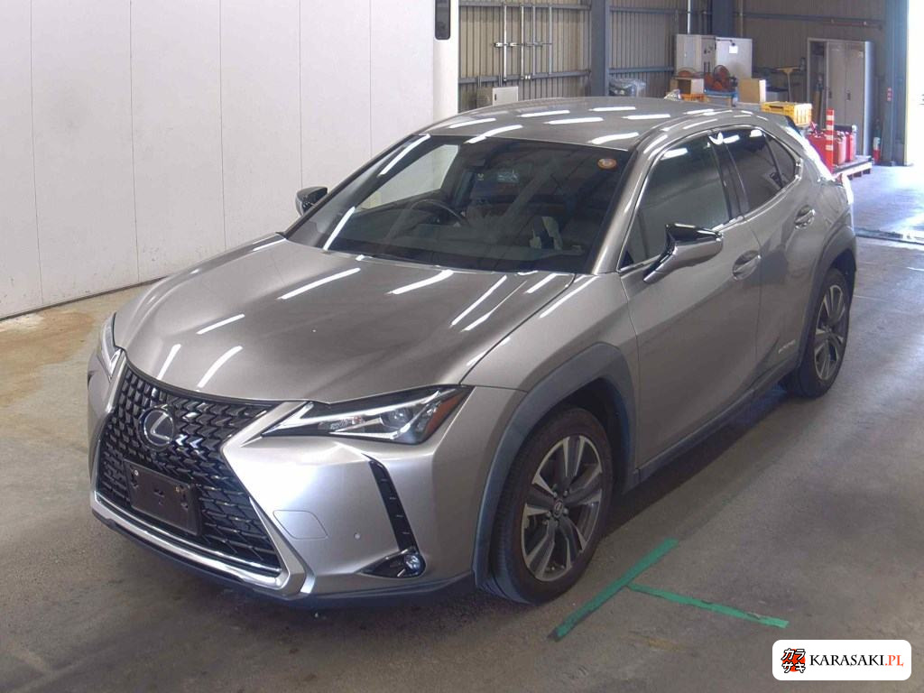 2019 Lexus Ux UX250H Version C 3