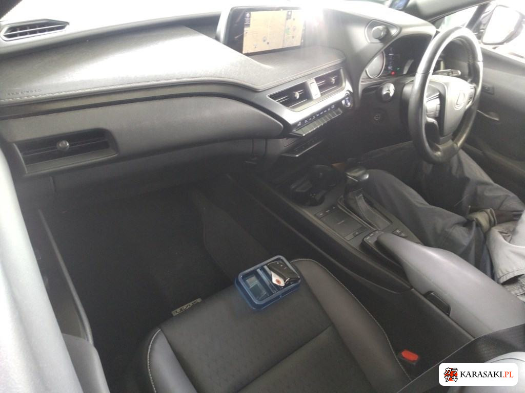 2019 Lexus Ux UX250H Version C 5