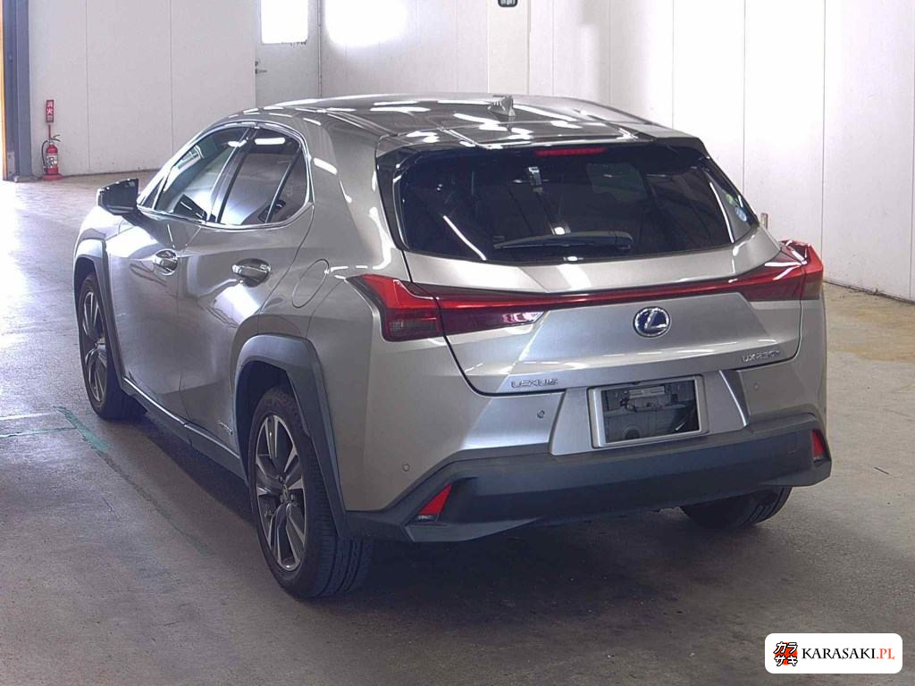 2019 Lexus Ux UX250H Version C 2